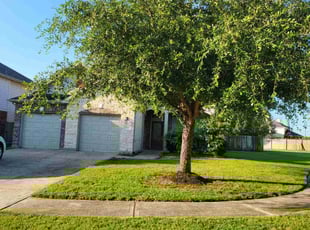 Charvis S.'s Lawn Mowing service result