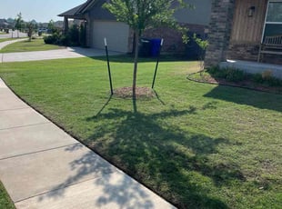 Peter B.'s Lawn Mowing Service service result