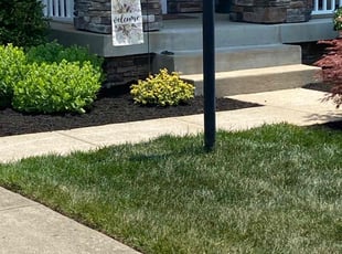 Mulching by Jose Murcia for Matt G. in Manassas, VA