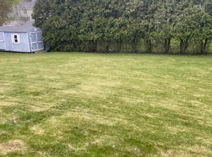 Mary L.'s Lawn Maintenance service result