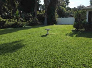 Pua P.'s Grass Cutting service result