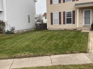 Lisa S.'s Lawn Mowing service result