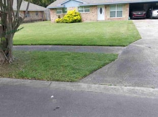 Katie T.'s Lawn Care service result