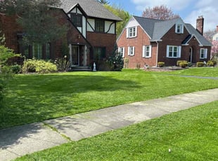 Cathy T.'s Lawn Mowing service result