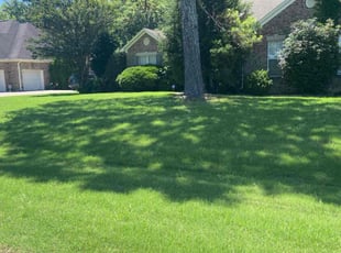Cale S.'s Lawn Service service result