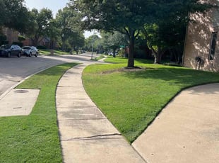 Curtis C.'s Lawn Mowing Service service result
