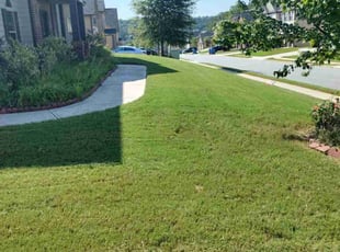 alex r.'s Lawn Mowing service result