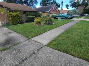Carita B.'s Yard Cutting service result