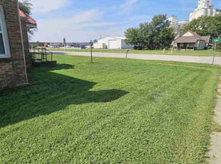 Helen B.'s Lawn Mowing service result