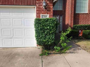 Bush Trimming by Gerome Randle for Jason M. in Mansfield, TX
