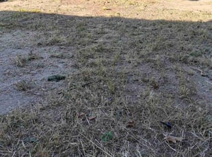Cleanups by Joseph Felicetty for Chris W. in Colorado Springs, CO