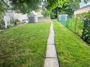 Sarah Z.'s Lawn Mowing service result
