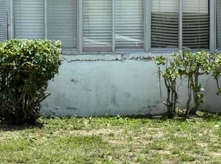 Bush Trimming by Harold Cummings for Tyler V. in Indian Harbour Beach, FL