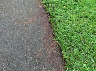Brett S.'s Lawn Mowing service result