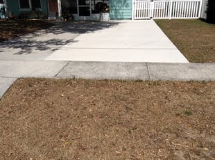 Leaf Removal by Raymone Wimpye El for Jeniffer D. in Tampa, FL