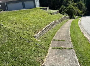 Weeding by Luis Contreras for Michael G. in Indianapolis, IN