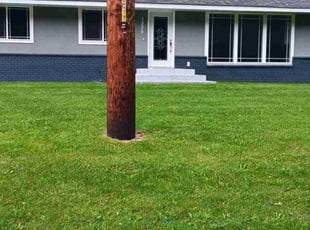 Camille T.'s Lawn Mowing service result