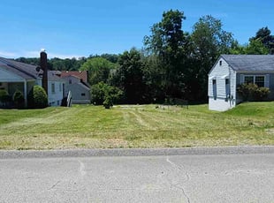 Patrick S.'s Grass Cutting service result