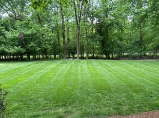 Russell S.'s Lawn Mowing Service service result