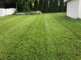 Brittany M.'s Lawn Care service result
