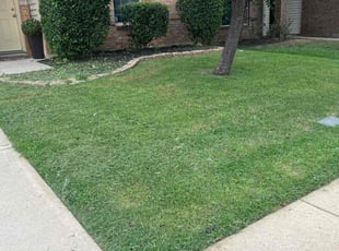 Bush Trimming by Ronnie Flowers for Sparkle W. in Haslet, TX