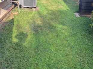 Shavon G.'s Grass Cutting service result