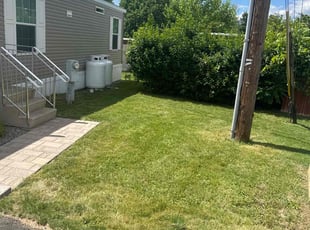 Lisa G.'s Lawn Mowing service result