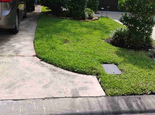 Sheila G.'s Lawn Service service result