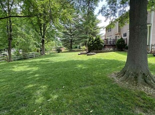 Marcia G.'s Lawn Service service result