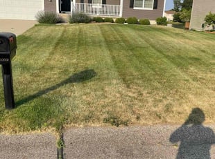 Cameron M.'s Lawn Service service result