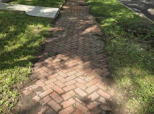 Weeding by Zachary Baker for Jasmin S. in Leavenworth, KS