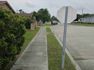Cynthia S.'s Yard Cutting service result