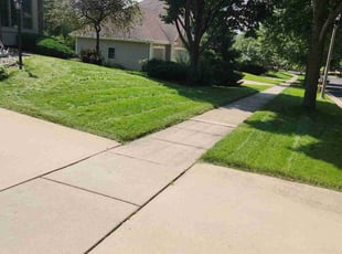 Megan J.'s Yard Cutting service result