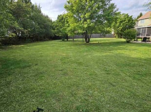 Jeremy D.'s Lawn Service service result