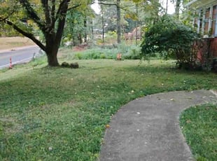 Cleanups by Willie Thomas for April D. in Charlotte, NC