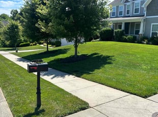 Jacquelyn B.'s Grass Cutting service result