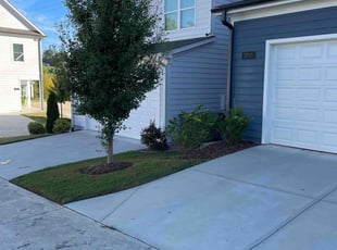 Ida C.'s Lawn Care service result