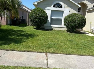 Bush Trimming by Genet Rena for Melanie R. in Orlando, FL