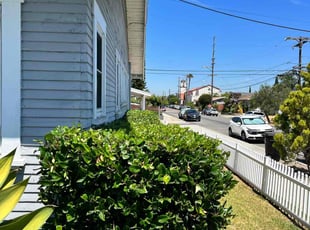 Bush Trimming by Keith Dalke for Paris M. in San Diego, CA