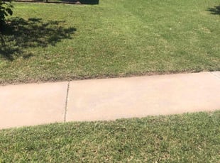 Fred S.'s Lawn Care service result