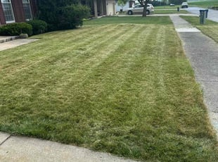 Ron C.'s Lawn Mowing service result