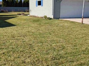 Katie O.'s Lawn Mowing service result