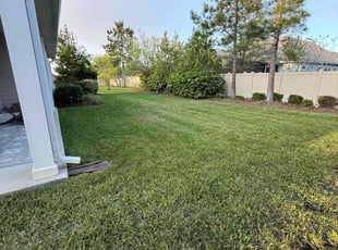 Mark F.'s Grass Cutting service result