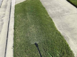 Weeding by Alejandro Colchado for Mary L. in Pflugerville, TX