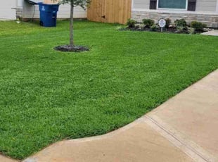 Danielle W.'s Lawn Service service result