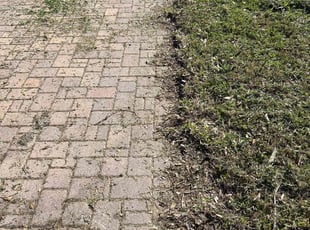 Linda M.'s Lawn Mowing Service service result