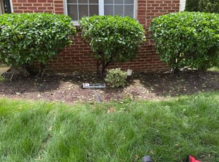Bush Trimming by Porfirio Jimenez for Mary S. in Gainesville, VA