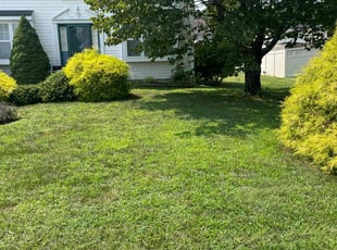 Shelia B.'s Yard Cutting service result