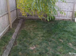 Leaf Removal by Jeremy Zanders for Timica C. in Cleveland, OH