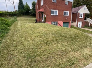 Darlene M.'s Cleanups service result